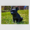Parlante Bluetooth portátil Bulldog francés Negro - Imagen 4
