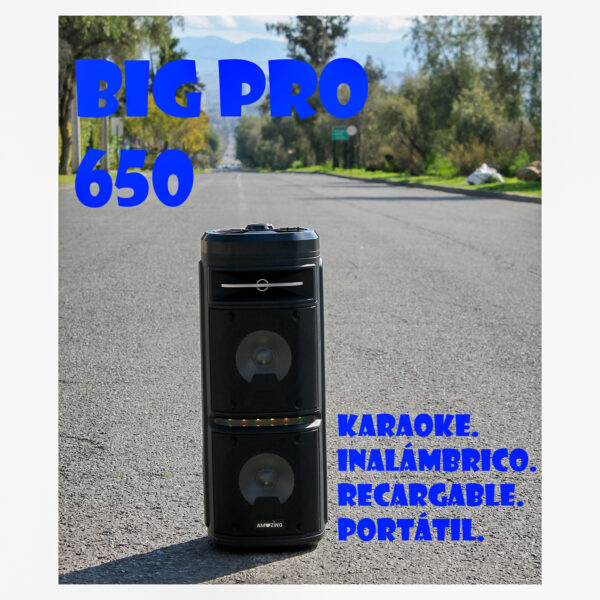 PARLANTE BLUETOOTH BIG PRO 650 - Imagen 6