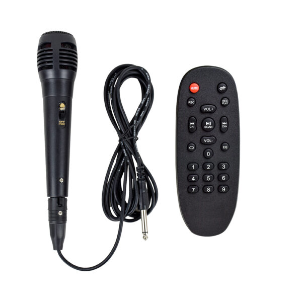 PARLANTE BLUETOOTH BIG PRO 650 - Imagen 10