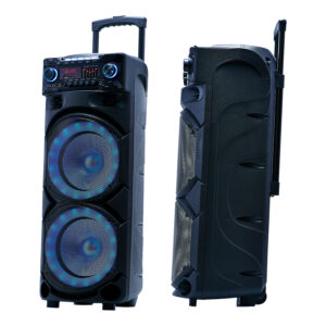 Parlante Karaoke Recargable Big-Pro1000