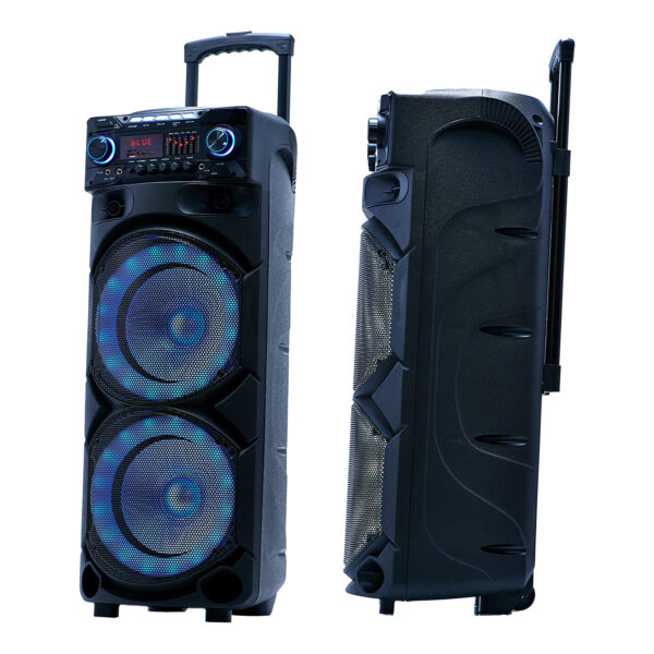 Parlante Karaoke Recargable Big-Pro1000