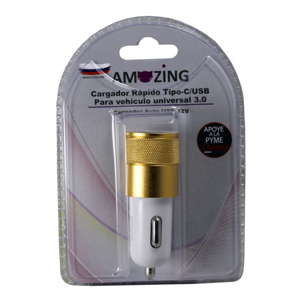 Cargador portátil de carga rápida para vehículos. Tipo C