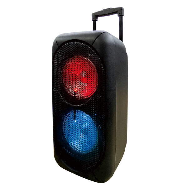 PARLANTE BLUETOOTH BIG PRO 800 - Imagen 2